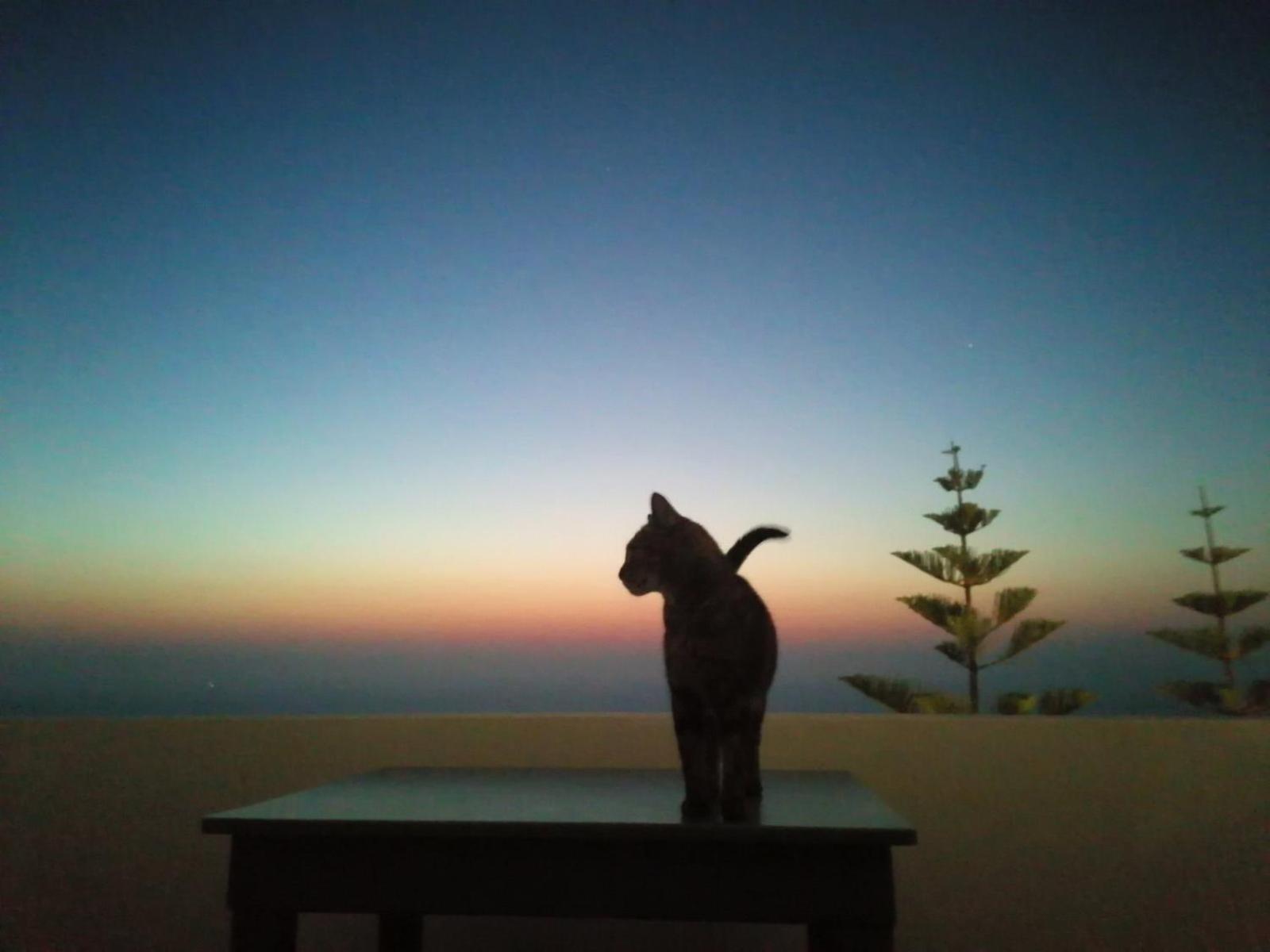 Phaos Santorini Suites Imerovigli  Ngoại thất bức ảnh